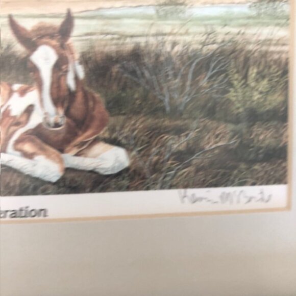 KEVIN MCBRIDE A New Generation Framed Horse & Pony Signed Print & Frame - Picture 8 of 16